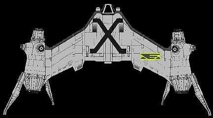 The X Profile