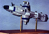 [Obliqe forward view]