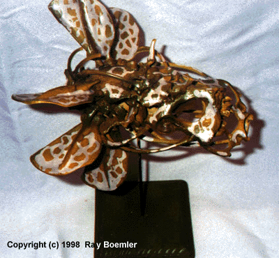 Rear View?  How does one tell?