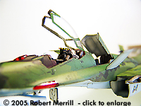 [Please click to enlarge]