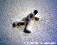 [I've fallen and I can't get up!]