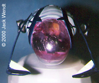 [Front, with pilot - click for larger]