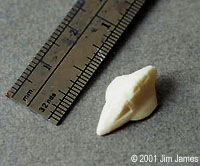 [This is what you get]