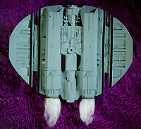 [Underside]