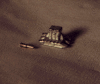 [What they do look like]