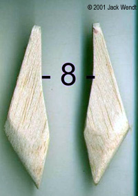[Wing supports]